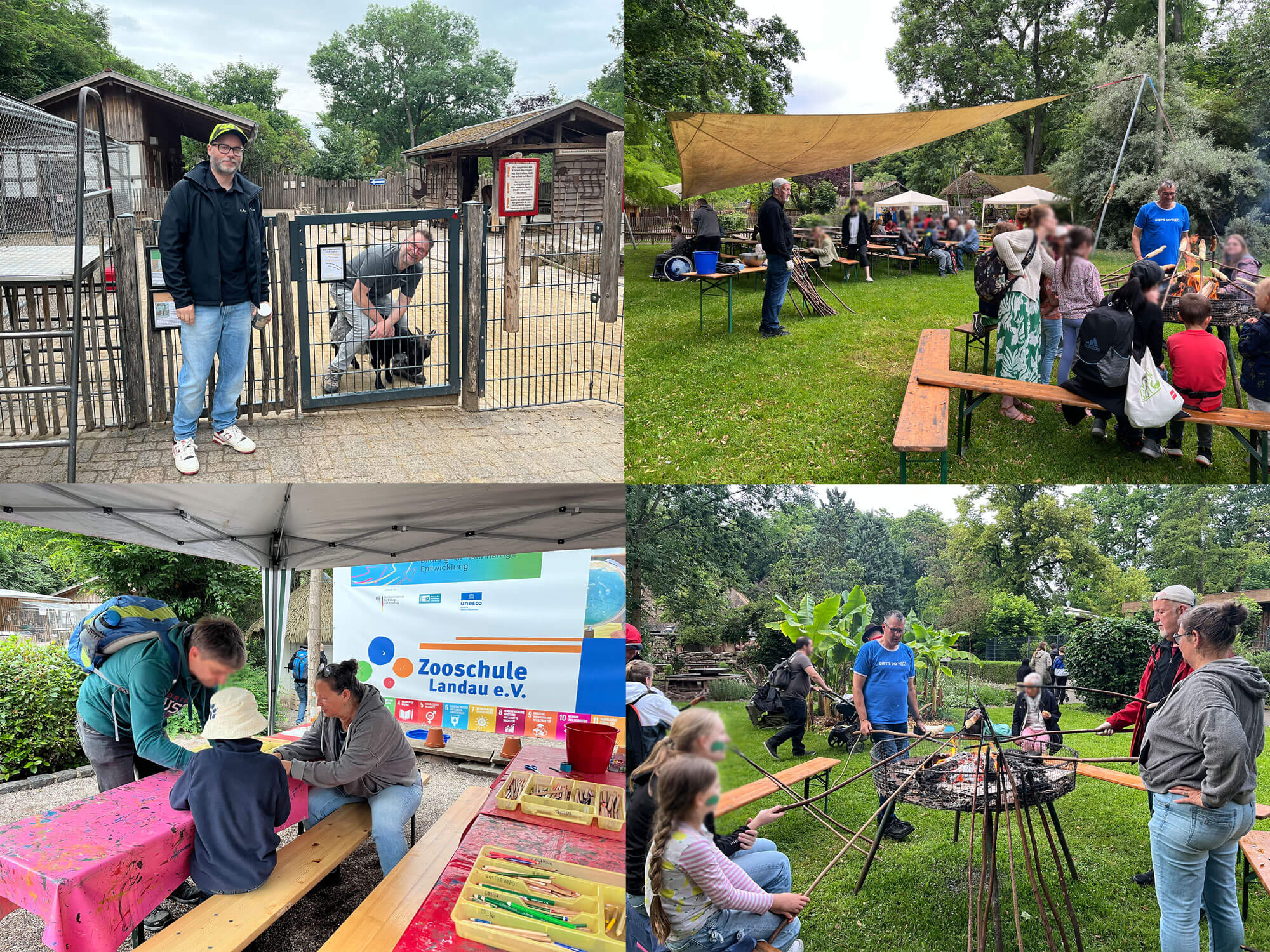 Dreamnight in the zoo.